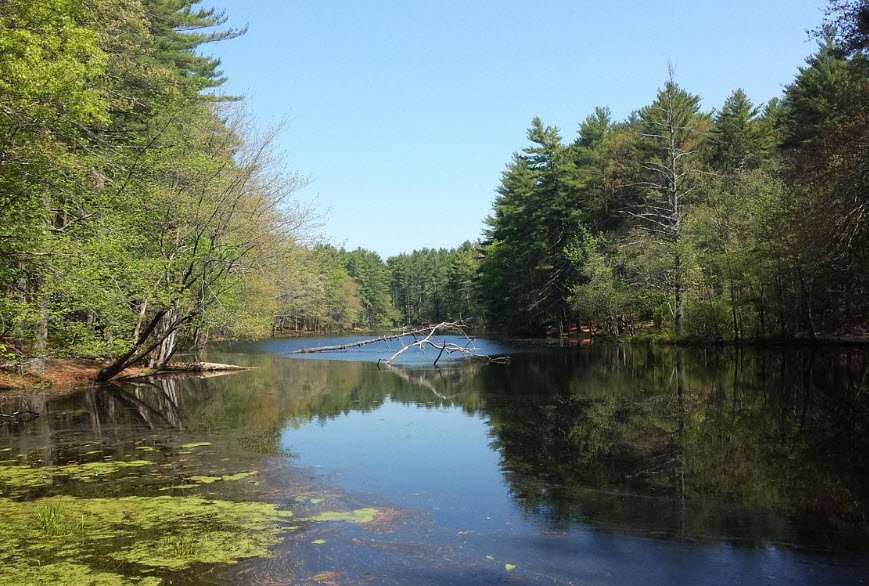 Harold Parker State Forest, Massachusetts, USA